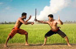 Learn kalaripayattu